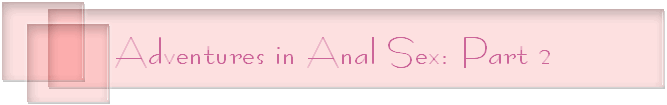 Adventures in Anal Sex: Part 2
