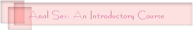 Anal Sex: An Introductory Course
